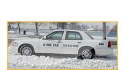Taxi service from Detroit metropolitan airport, Cab service to Detroit airport